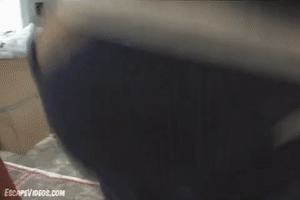 xsiteability.com - Charlotte Miniskirt Saddle Shoes thumbnail